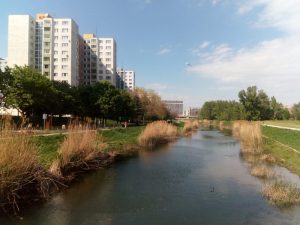 петржалка