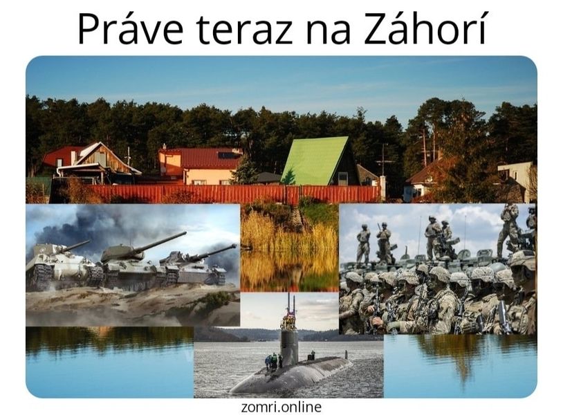 мем-словакия-сша-армия