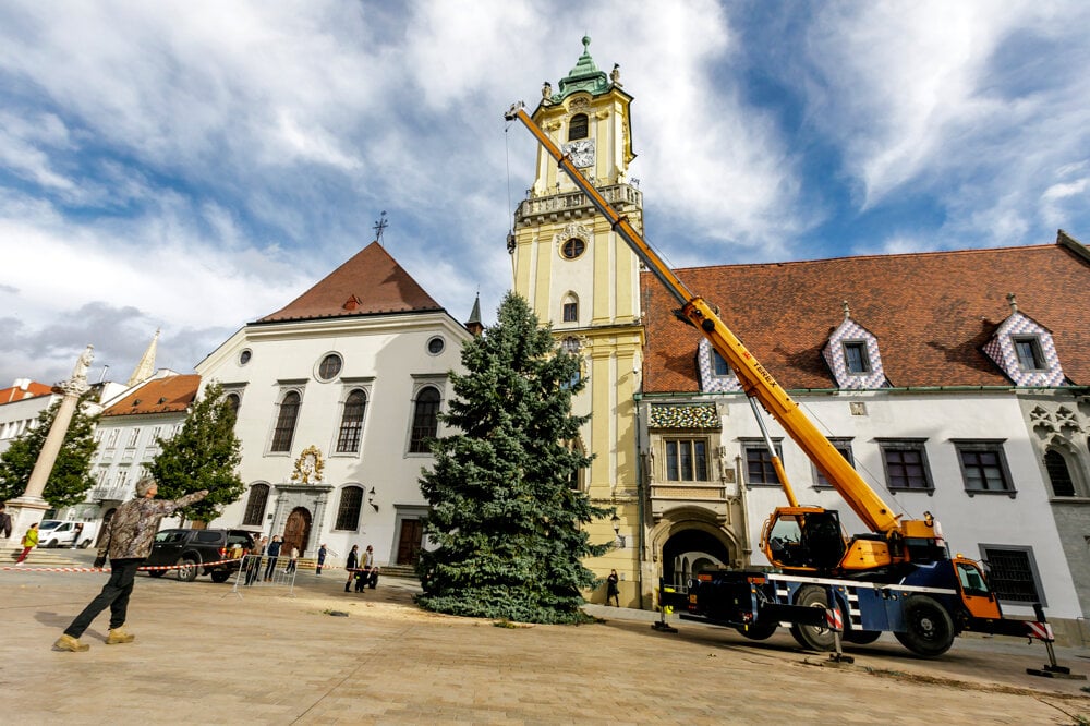 Рождественская ель 2023 года на Главной площади Братиславы