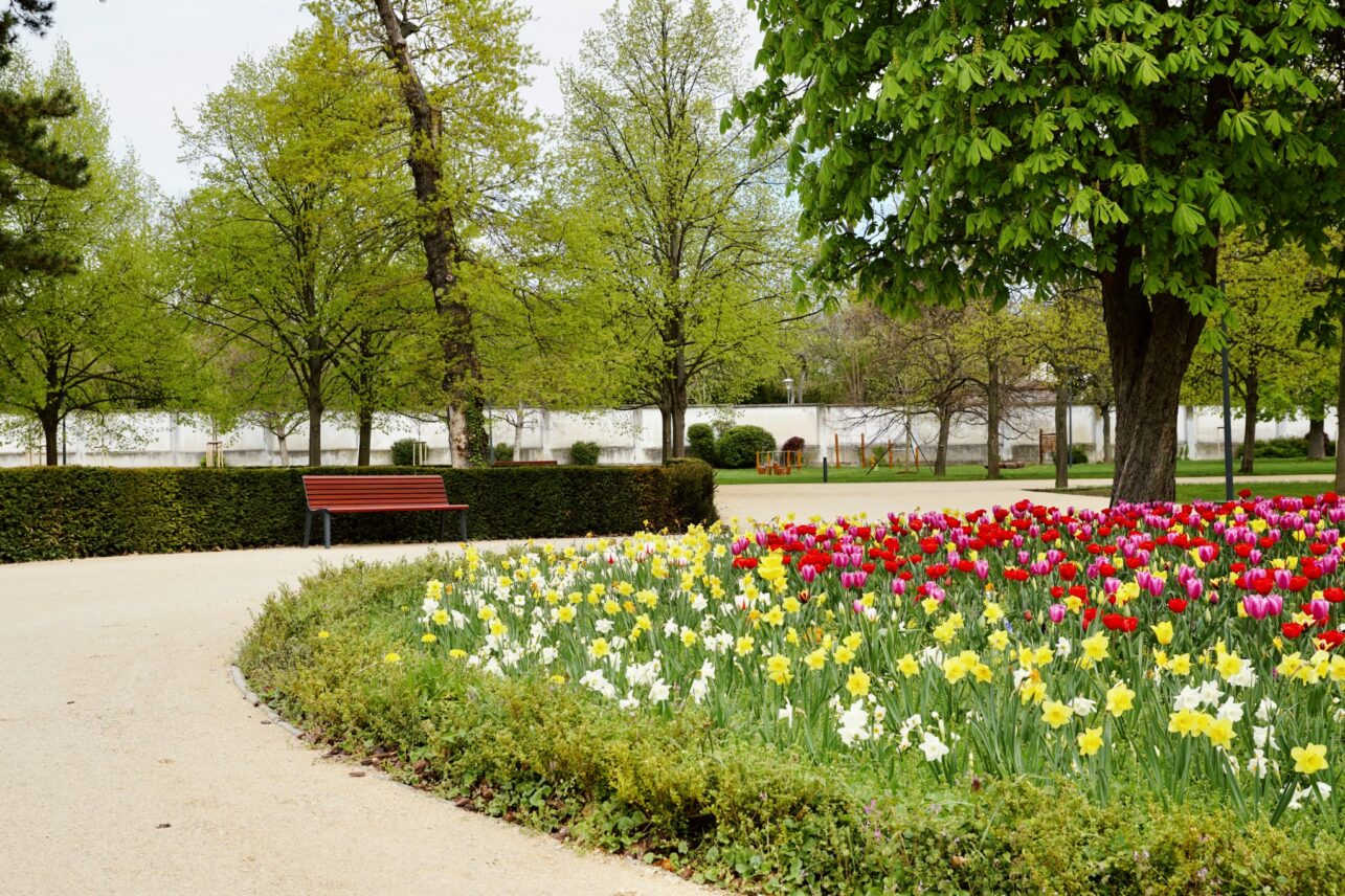 Президентский сад в Братиславе. Фото Staré Mesto - srdce Bratislavy