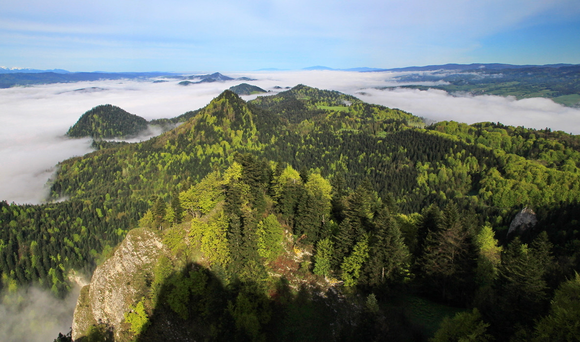 Гора Окронглица. Фото hiking.sk