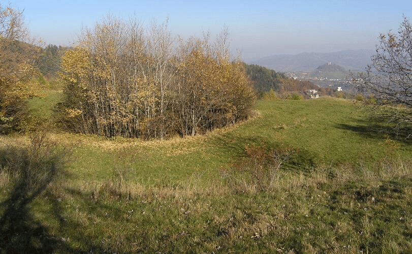 Следы от шахты-"дудки" в Банска-Штьявнице. Источник: работа Terminological definition of the terms “pinge”(binge), авторы: Pavel Hroncek (Matej Bel University), Karol Weis (Matej Bel University), Vladimir Cech (University of Prešov)