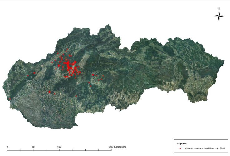 Скриншот с сайта pozormedved.sk