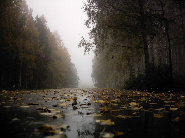 Осень